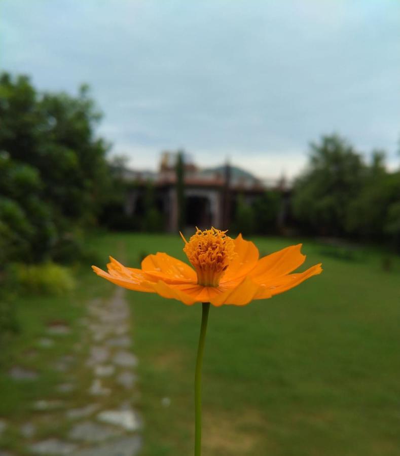 Pushkar Vela Resort Exterior foto